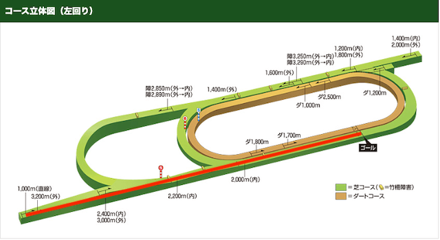 重賞コラムコース解説