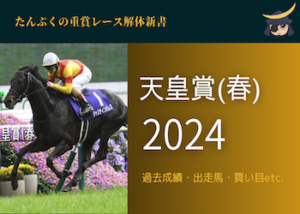 天皇賞(春)2024画像