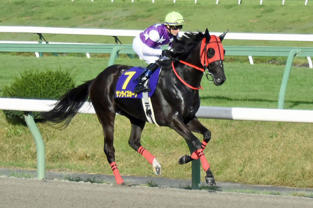 サンライズホークさきたま杯