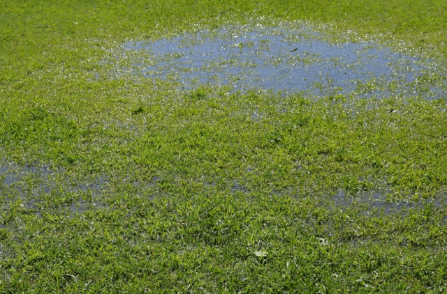 雨の日の馬場状態