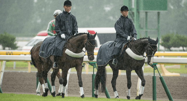 雨の日の競走馬