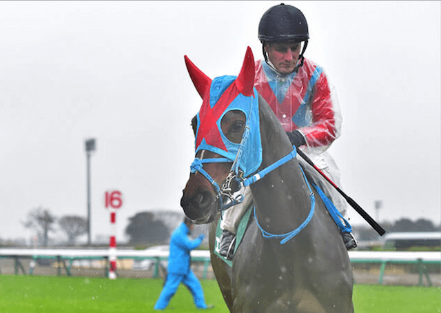 競馬雨の日中止 騎手の得意不得意