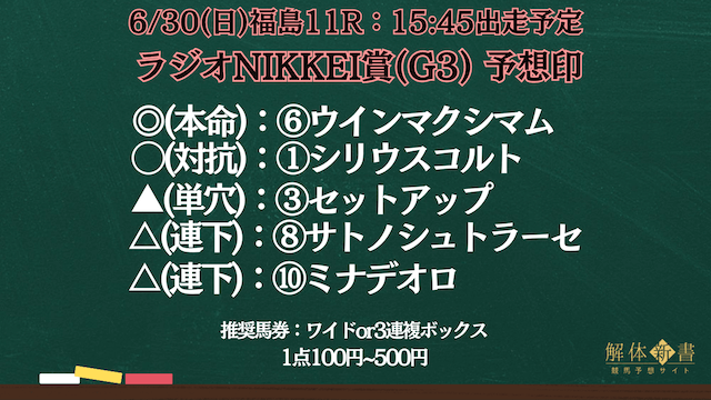 ラジオNIKKEI賞2024予想