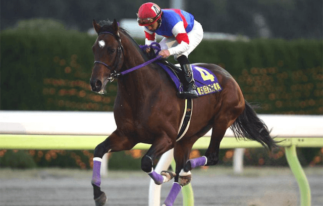 アジュディミツオー地方最強馬第1位