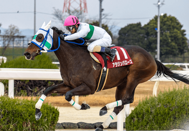 アラジンバローズ全頭診断