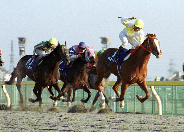 地方最強馬5位メイセイオペラ