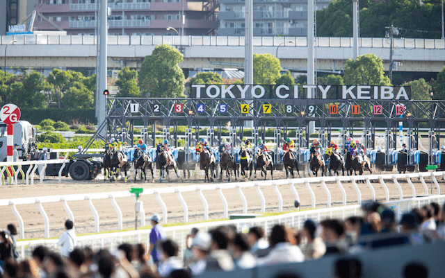 競馬荒れるレースランキング「出走頭数の多さ」