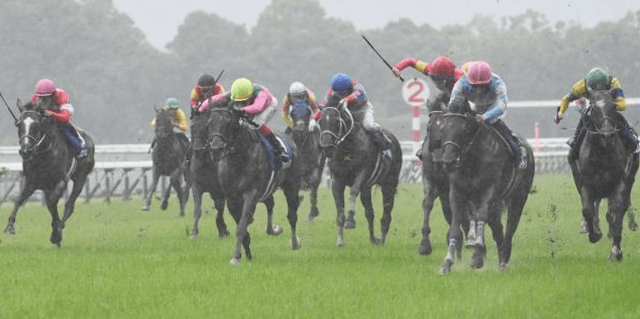 重馬場芝コース