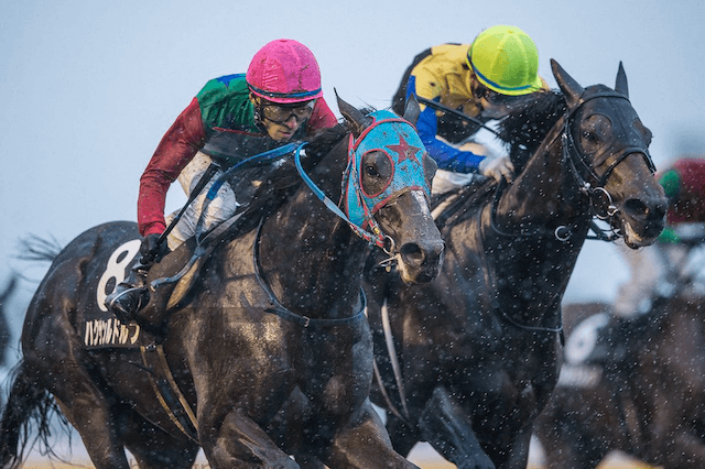 重馬場の予想ポイント：スタミナとパワーのある馬に注目