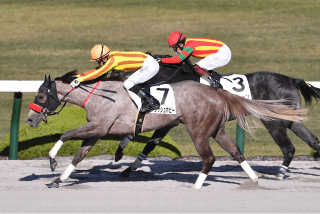 スパーキングレディーカップ穴馬フーリッシュホビー