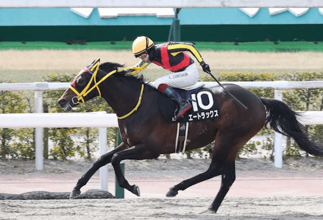 エートラックス北海道スプリントカップ