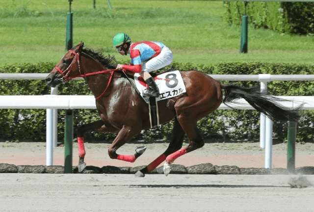 エスカル北海道スプリントカップ