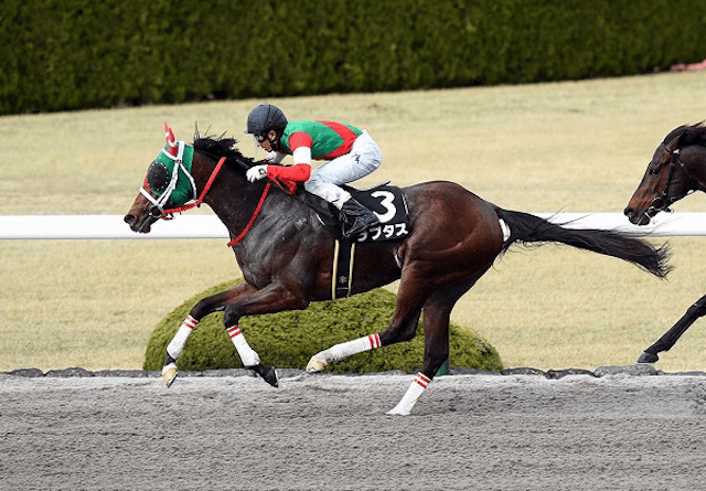 ラプタス全頭診断