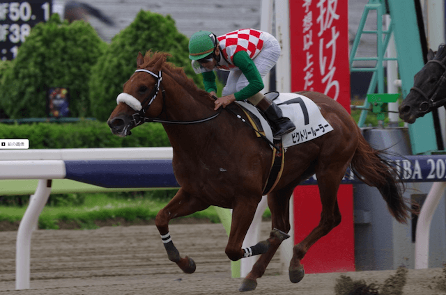 ビクトリールーラー全頭診断