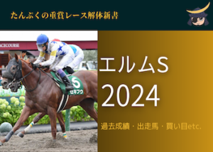 エルムステークス2024画像