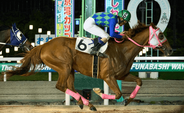 ホウオウトゥルース全頭診断