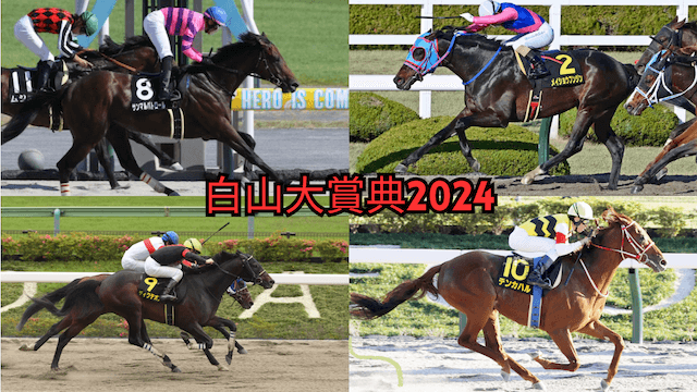 白山大賞典2024トップ