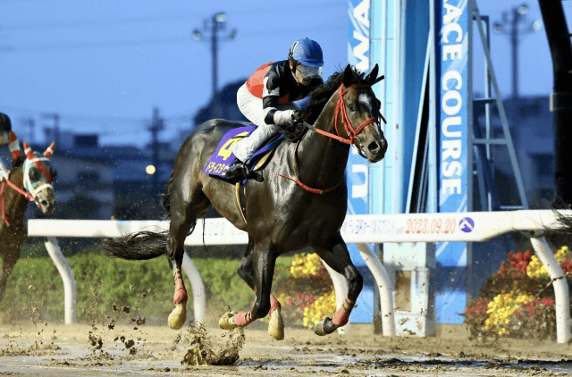 テレ玉オーバルスプリント概要