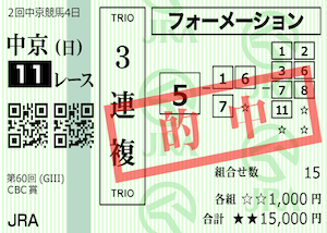 うああど2024年8月18日中京11R的中馬券