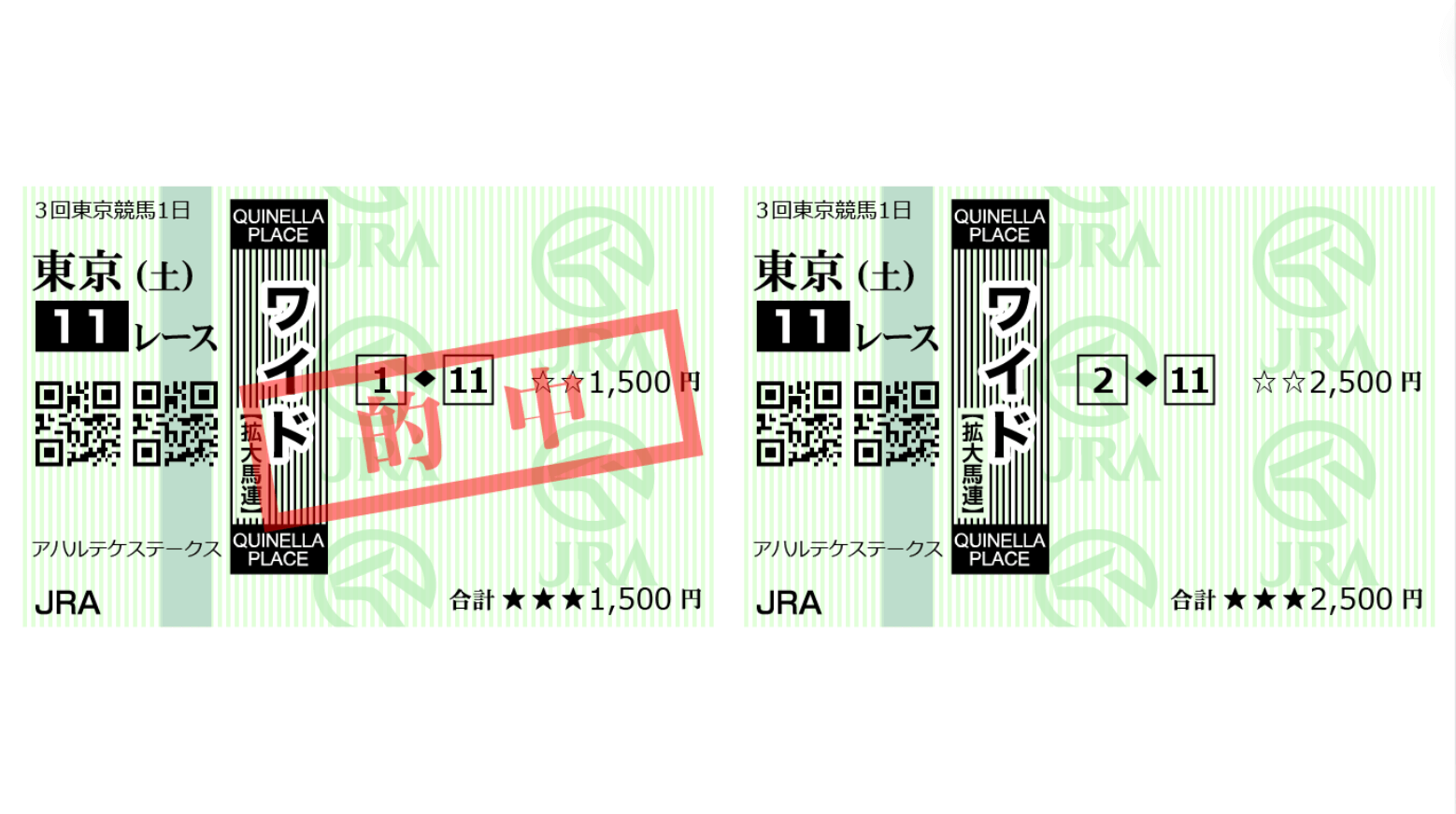 シンケイバ東京11R的中馬券