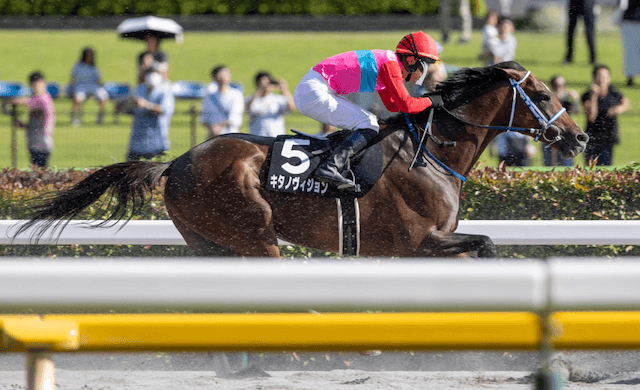 キタノヴィジョン南部杯全頭診断