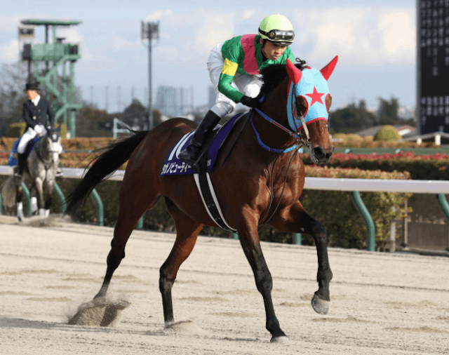 タガのビューティー南部杯全頭診断