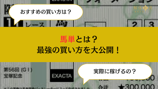 馬単はボックス買いが一番稼げる？最強の買い方を大公開！ | 競馬予想サイト解体新書